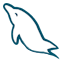 API icon