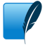 API icon